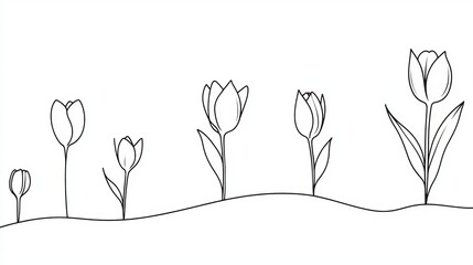 From seed to leaf, a continuous one-line drawing illustrates a phase of plant life