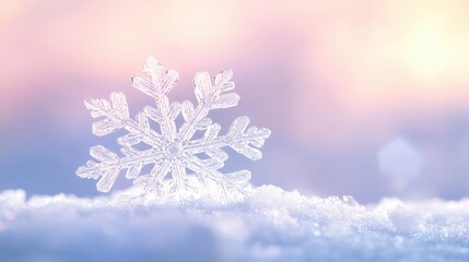 Poster - A delicate snowflake resting on soft snow, showcasing intricate patterns and the serene beauty of winter's frozen art.
