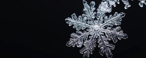 Aufkleber - A stunning snowflake captured against a black background, showcasing intricate details and unique shapes, perfect for seasonal themes.