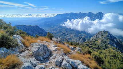 Poster - Mountain Peak Panorama with Clouds