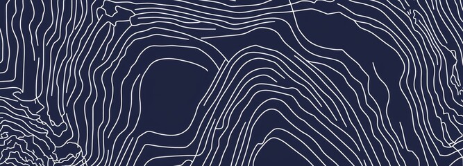 Poster - Contour mapping on topographic map. Geographic mountain relief. Abstract lines background. Modern illustration.