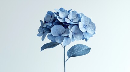 Wall Mural - Vibrant 3D Render of Blue Hydrangea Flower with Exquisite Petal Details on White Background