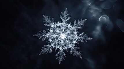 Poster - Intricate snowflake design on a dark background, showcasing unique patterns and delicate structures, perfect for winter-themed projects.