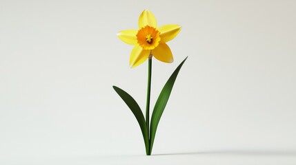 Wall Mural - Delicate 3D Yellow Daffodil with Rich Textures on White Background