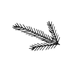 Wall Mural - Hand drawn coniferous branch. Vector illustration of pine and spruce branches