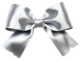 Ribbon silver gift bow.