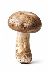 Poster - Single mushroom on a plain white surface, perfect for product or abstract design