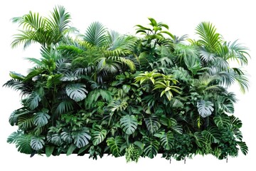 Poster - A bunch of green plants growing on a clean white surface, ideal for use in illustrations and designs