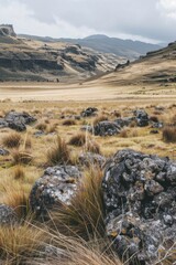 Poster - A serene mountain landscape with green grass and rocky outcroppings, suitable for nature-themed or travel-related projects