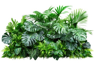 Wall Mural - Colorful tropical plants arranged neatly on a white background, great for decorating or education