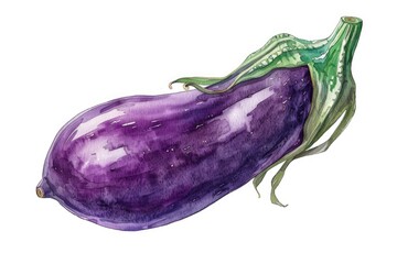 Poster - Illustration of an eggplant on a white surface