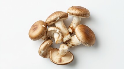 Poster - A bunch of shiitake mushrooms displayed on a minimalist white background, with soft shadows adding depth and dimension to their natural form.