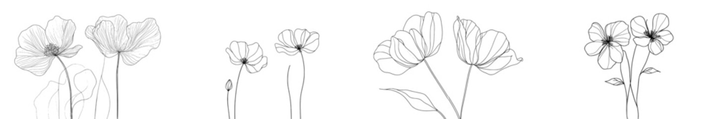 St. Paulia flower in black linear drawing style isolated on white. Modern illustration.