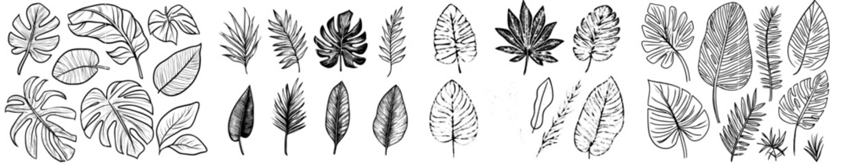 Sticker - Botanical leaves, canna leaves, banana leaves, engraved ink art for fabric, textile prints, and wrapping paper.