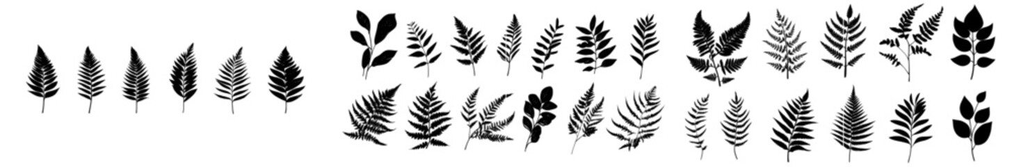 Wall Mural - Black plants with abstract leaves. Modern foliage silhouettes. Natural organic ornaments.