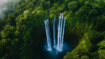 Wall Mural - aerial view of a waterfall in forest, waterfall in the jungle, tropical landscape in the jungl