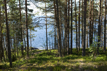 Sticker - Russia Karelia Lake Onega on a cloudy summer day