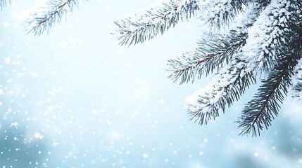 Wall Mural - Snow-covered pine branches with a soft blue background and falling snowflakes, evoking a serene winter atmosphere.