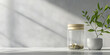 © Izzain - A glass jar filled with coins sits on a white countertop, next to a small plant in a white pot.