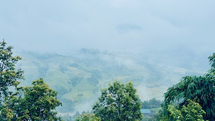 Rice field and mountain view under mist in Sapa Vietnam