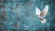©  lukaPixMedia - A white dove captured in mid-flight, wings spread wide against a textured blue background, symbolizing peace and freedom with a dramatic flair.