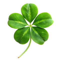 Green clover leaf with four petals