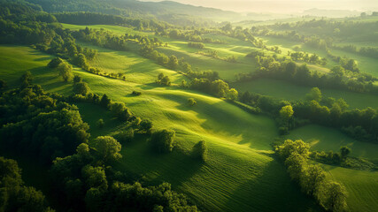 Poster - panoramic view of a green landscape, aerial view of a green landscape, green ecology landscape with trees