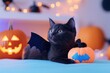 © Thitiporn - Spooky Feline Festivities: A charming grey cat dressed as a bat for Halloween, posing majestically amidst pumpkins and festive lights.