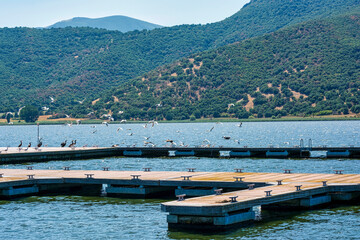 Wall Mural - Birds Flying Over Dock on Mountain Lake