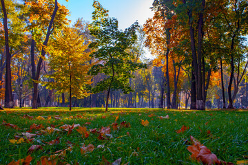 Golden colourful autumn in Maryinskyi park in Kyiv, Ukraine