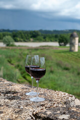 Wall Mural - Glasses of french dry red wine in old wine domain on Graves vineyards in Portets village and old castle on background, Bordeaux, France