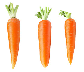 Wall Mural - Set of carrot isolated on white background, clipping path, full depth of field