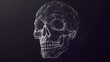 © maikuto - A digitally rendered skull made from a wireframe mesh, floating in a dark space, representing technology and the human form.