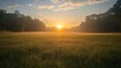 © Koplexs-Stock - Sunlit Field with Trees and Foggy Sunrise