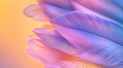 Poster - Vibrant feathers in shades of purple and pink against a soft gradient background create a stunning visual display of nature's beauty