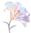 © Rawpixel.com - PNG  Lily flower illustration delicate pastel.