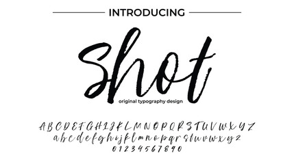 Wall Mural - Shot Font Stylish brush painted an uppercase vector letters, alphabet, typeface