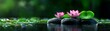 © Aventurine - Tranquil pond with blooming lotus flowers, serene haven, natural elegance, spiritual awakening :: lotus meditation, zen retreat, tranquil reflection