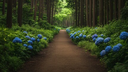 Wall Mural - Path Through Hydrangea-Lined Forest