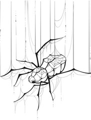 Wall Mural - spider web outline hang weave network concept drawing holiday halloween. vector isolated on white