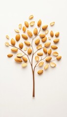 Tree made of almond nuts on a white isolated background.