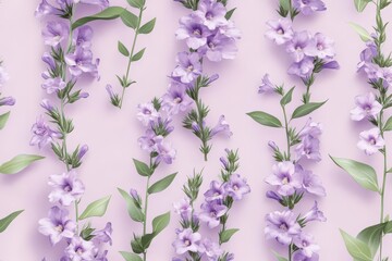 Poster - Angelonia pattern on soft lilac pastel background, viewed from above.