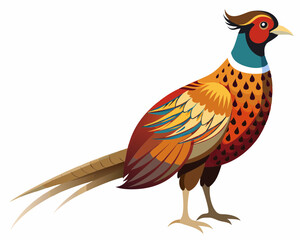 Sticker - Common pheasant bird vector art illustration