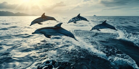 Wall Mural - Jumping dolphins emerging from the ocean