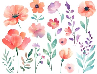 Wall Mural - Watercolor flower clipart collection, simple flat design, white background, 