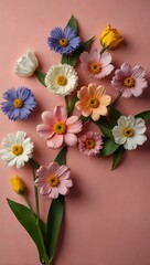 Wall Mural - Colorful spring flowers on a pink background.