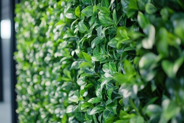 Naklejka na meble Eco-friendly green event with living wall plant display