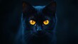 © tzu - Closeup photo of black cat with yellow eyes