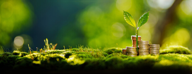 Wall Mural - Money and environment concept,A stack of silver coins and a tree grows in the center,Financial growth, savings and the environment