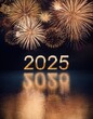 © Lylx Studio - Happy New Year 2025 Poster Design